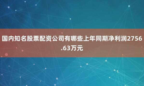 国内知名股票配资公司有哪些上年同期净利润2756.63万元