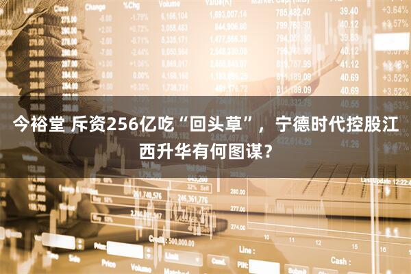 今裕堂 斥资256亿吃“回头草”，宁德时代控股江西升华有何图谋？