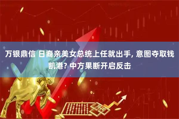 万银鼎信 日裔亲美女总统上任就出手, 意图夺取钱凯港? 中方果断开启反击
